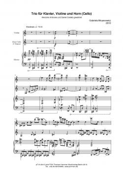 TRIO für Klavier, Violine und Horn (Cello)